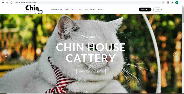 Trại mèo Chin House