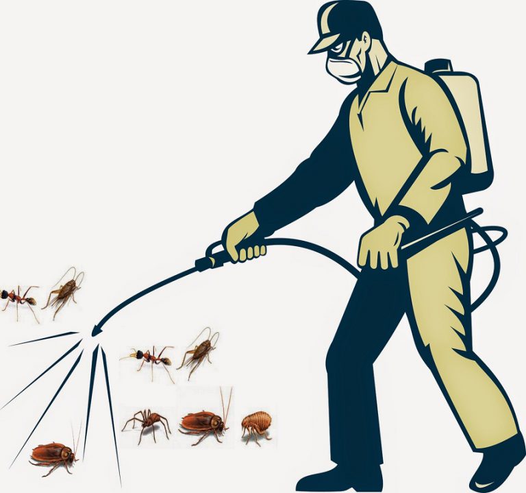 Top 8 công ty dịch vụ diệt côn trùng TPHCM uy tín nhất